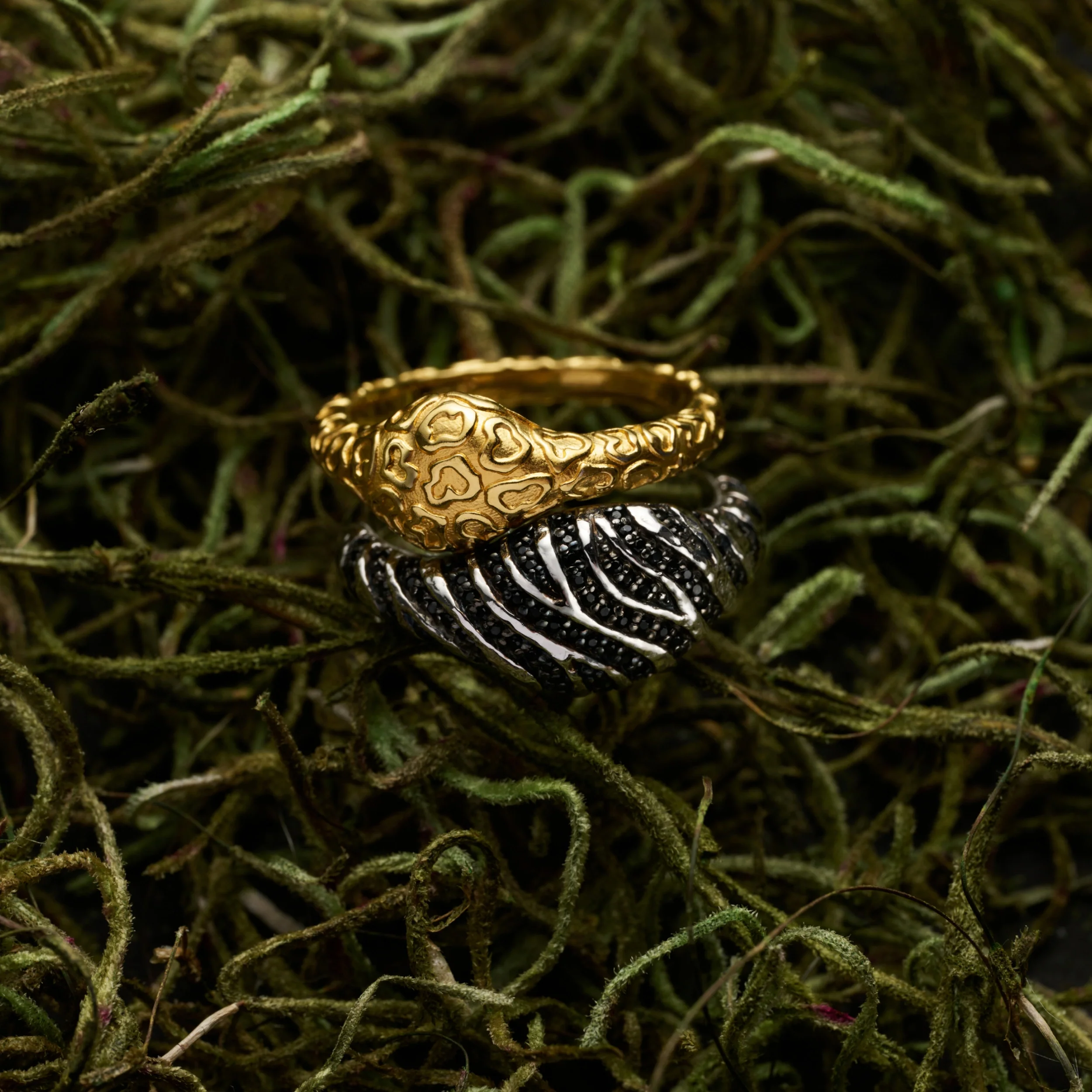 Cat Print Signet Ring Duo - Image 2