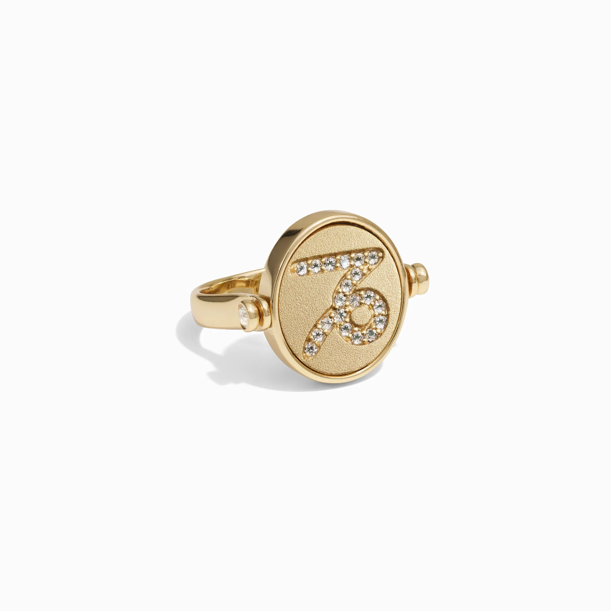 Capricorn & Earth Flip Ring - Image 6