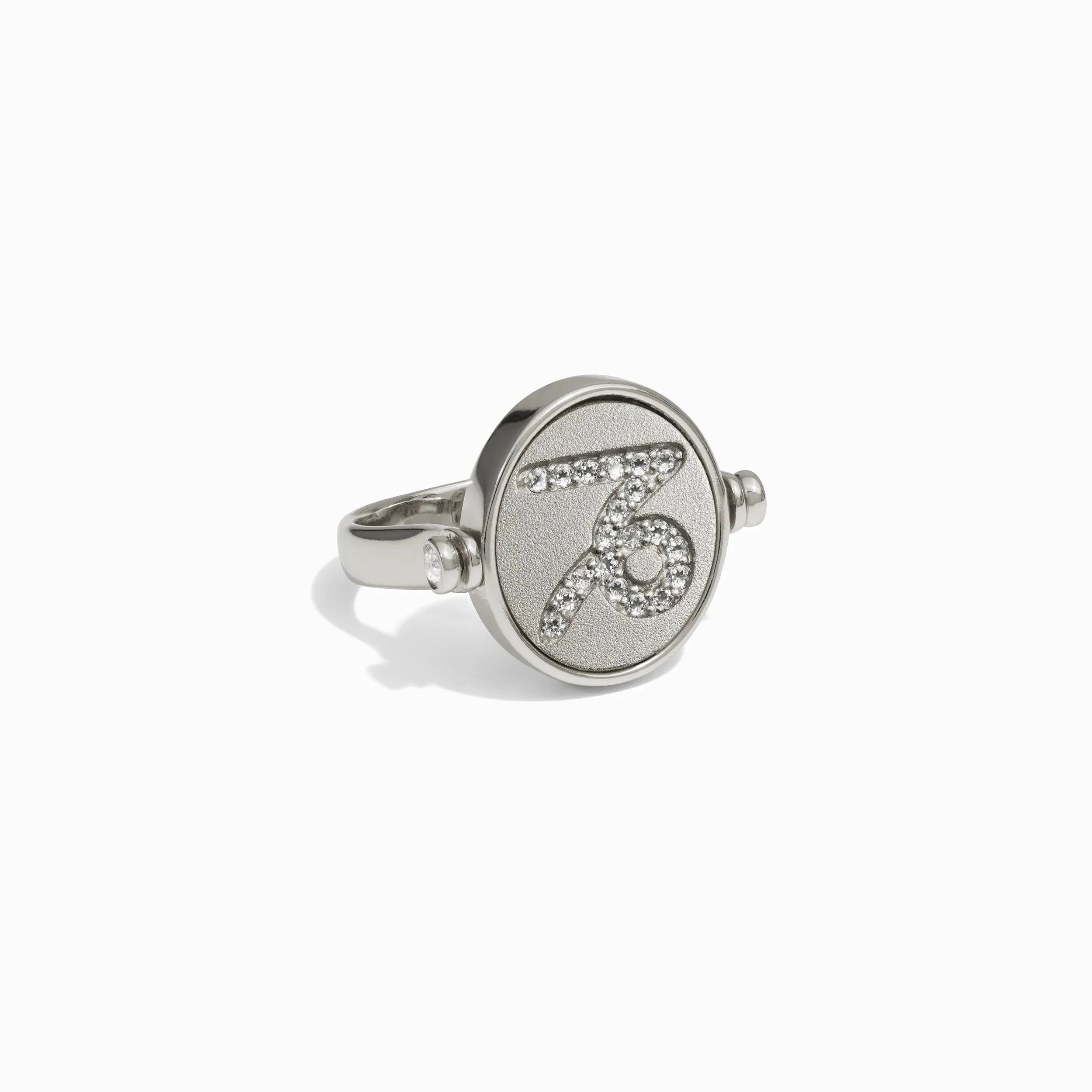 Capricorn & Earth Flip Ring - Image 7