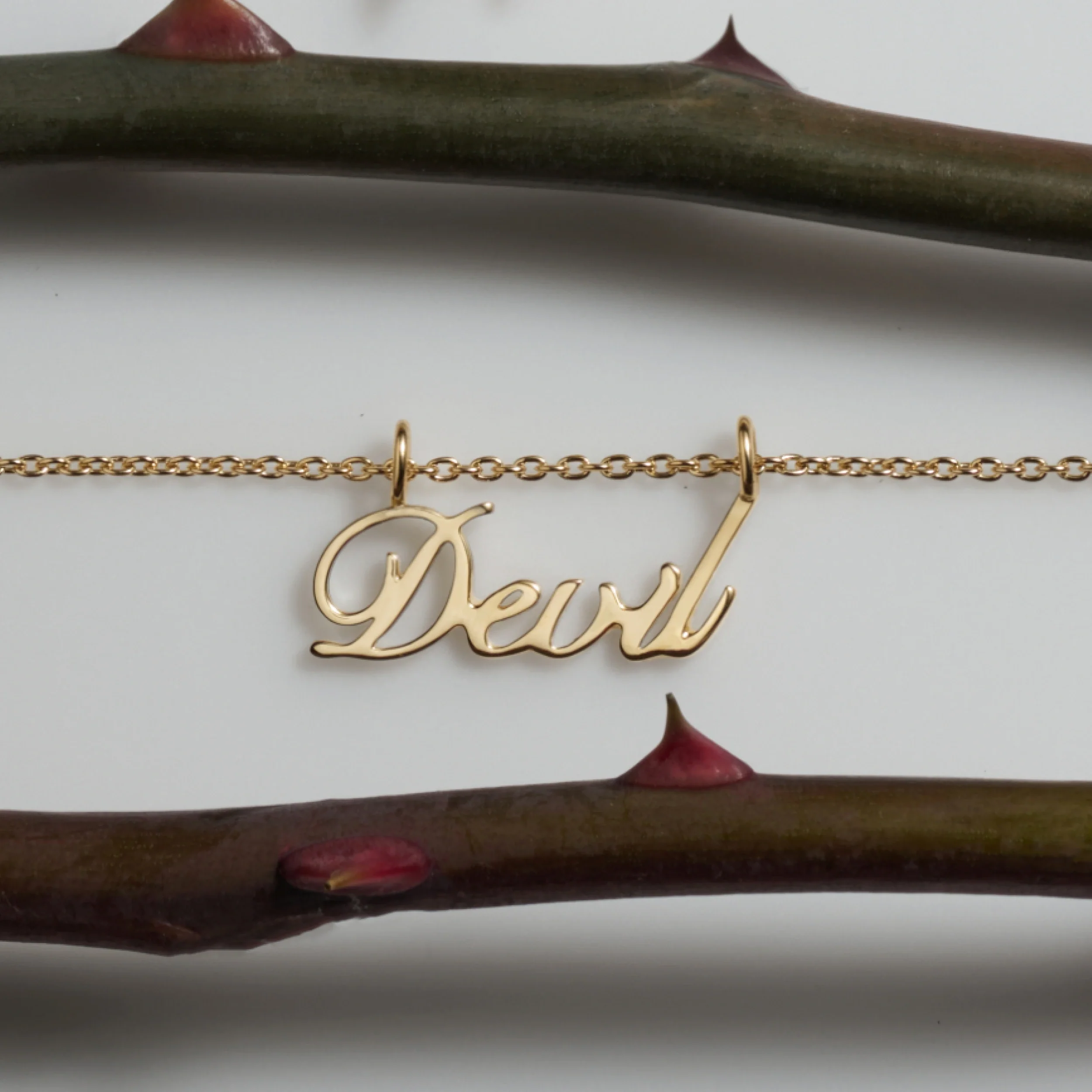 Devil Nameplate Necklace - Image 3