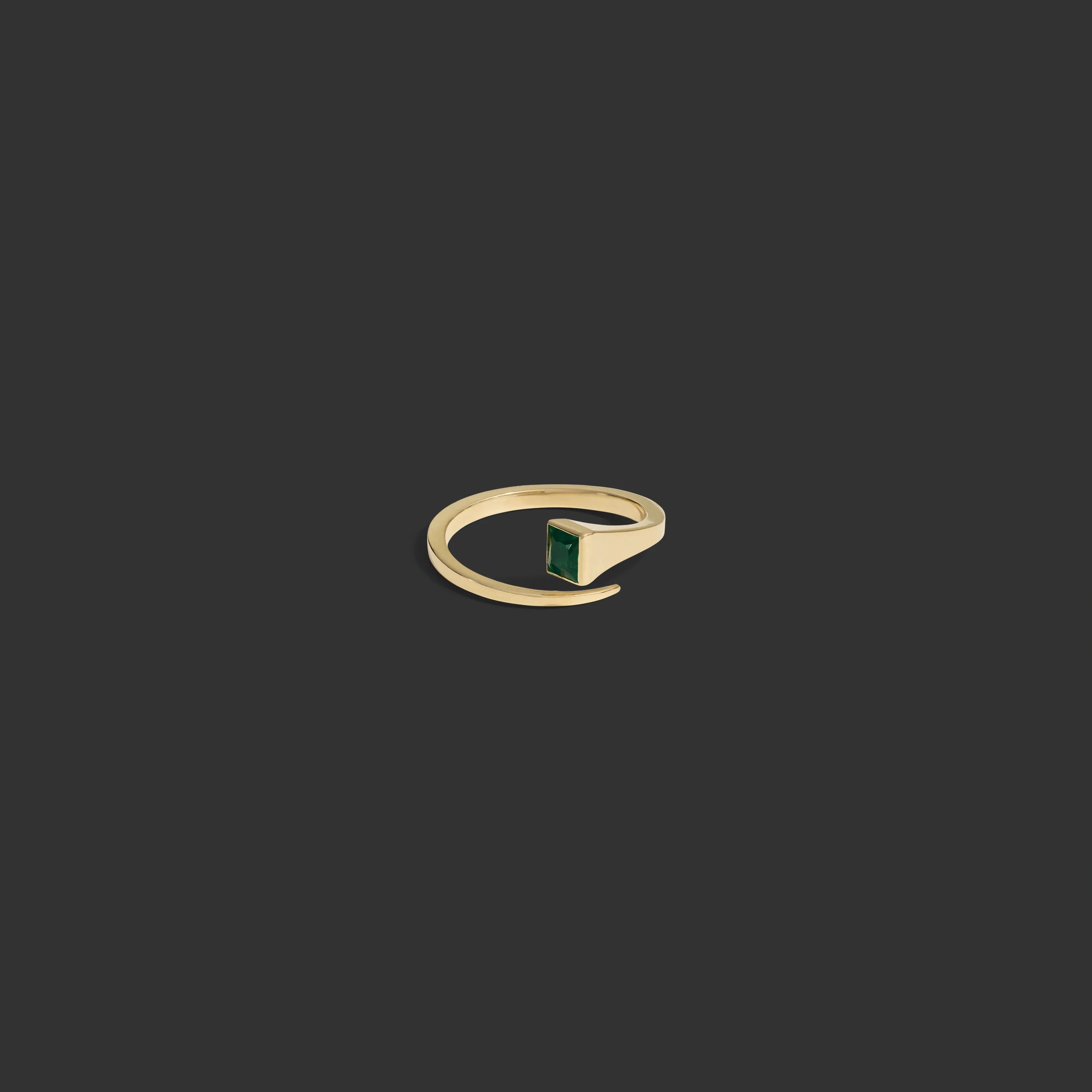 Horseshoe Nail Ring - Image 4