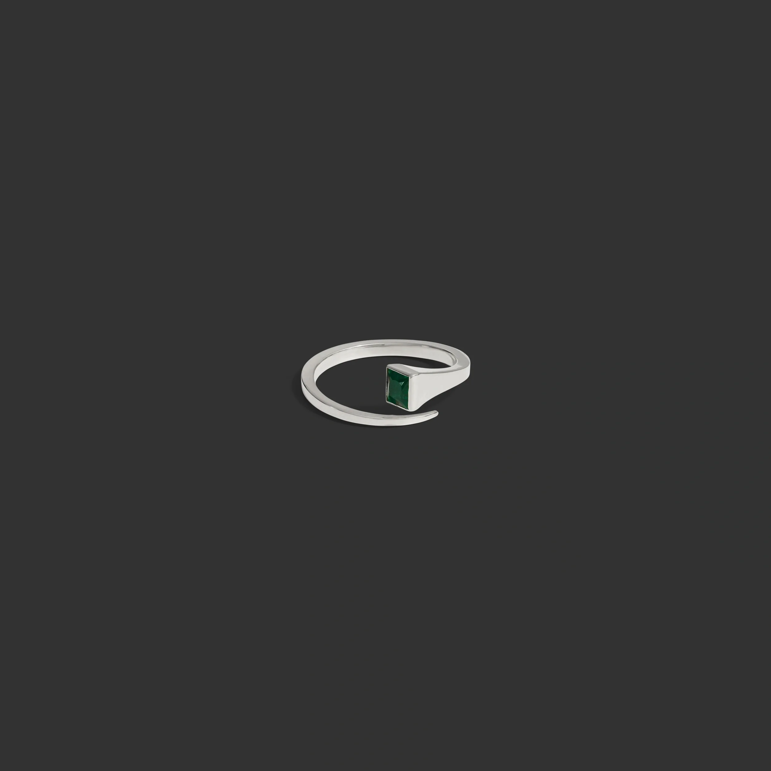 Horseshoe Nail Ring - Image 7