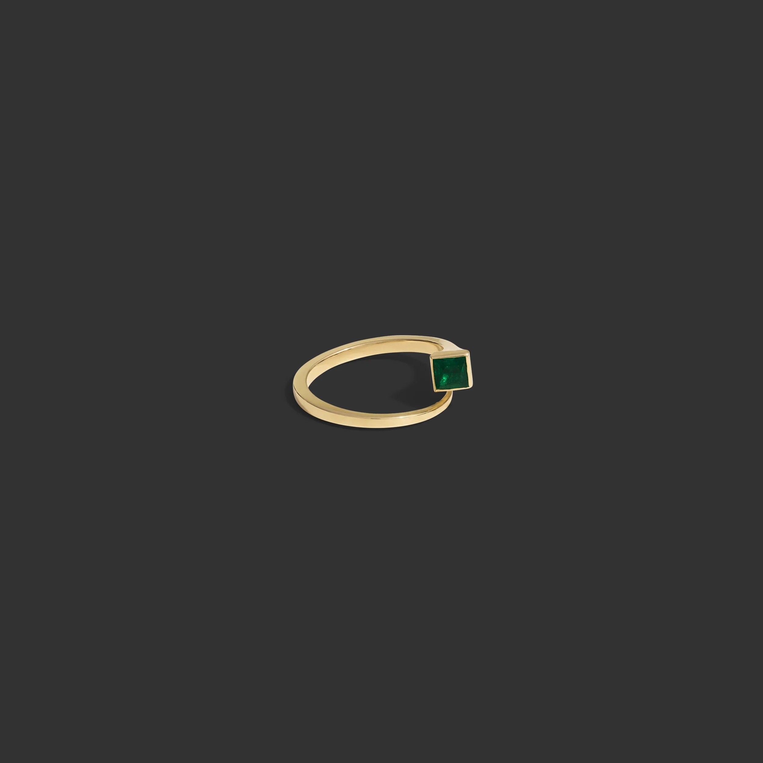 Horseshoe Nail Ring - Image 8