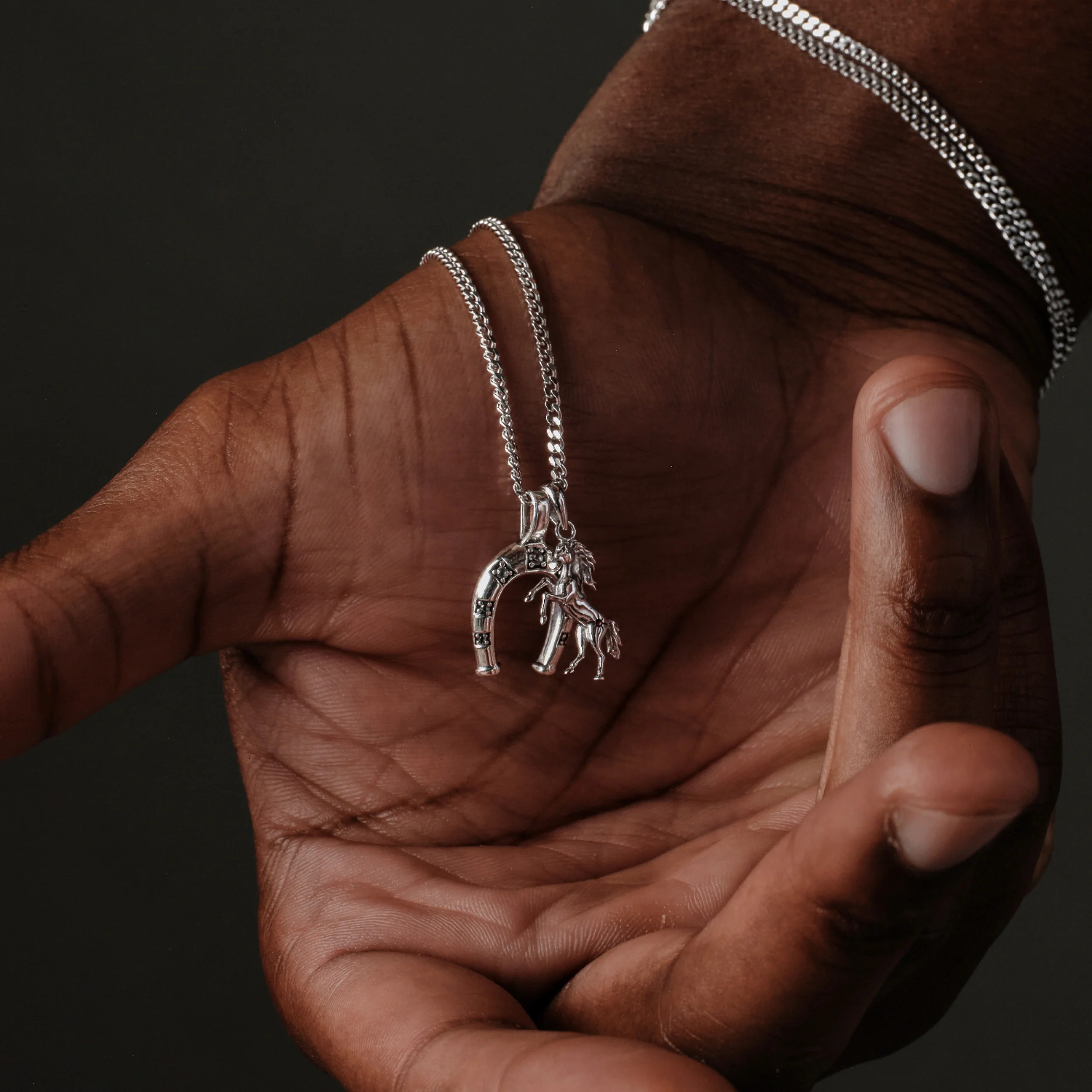 Horseshoe Necklace - Image 3