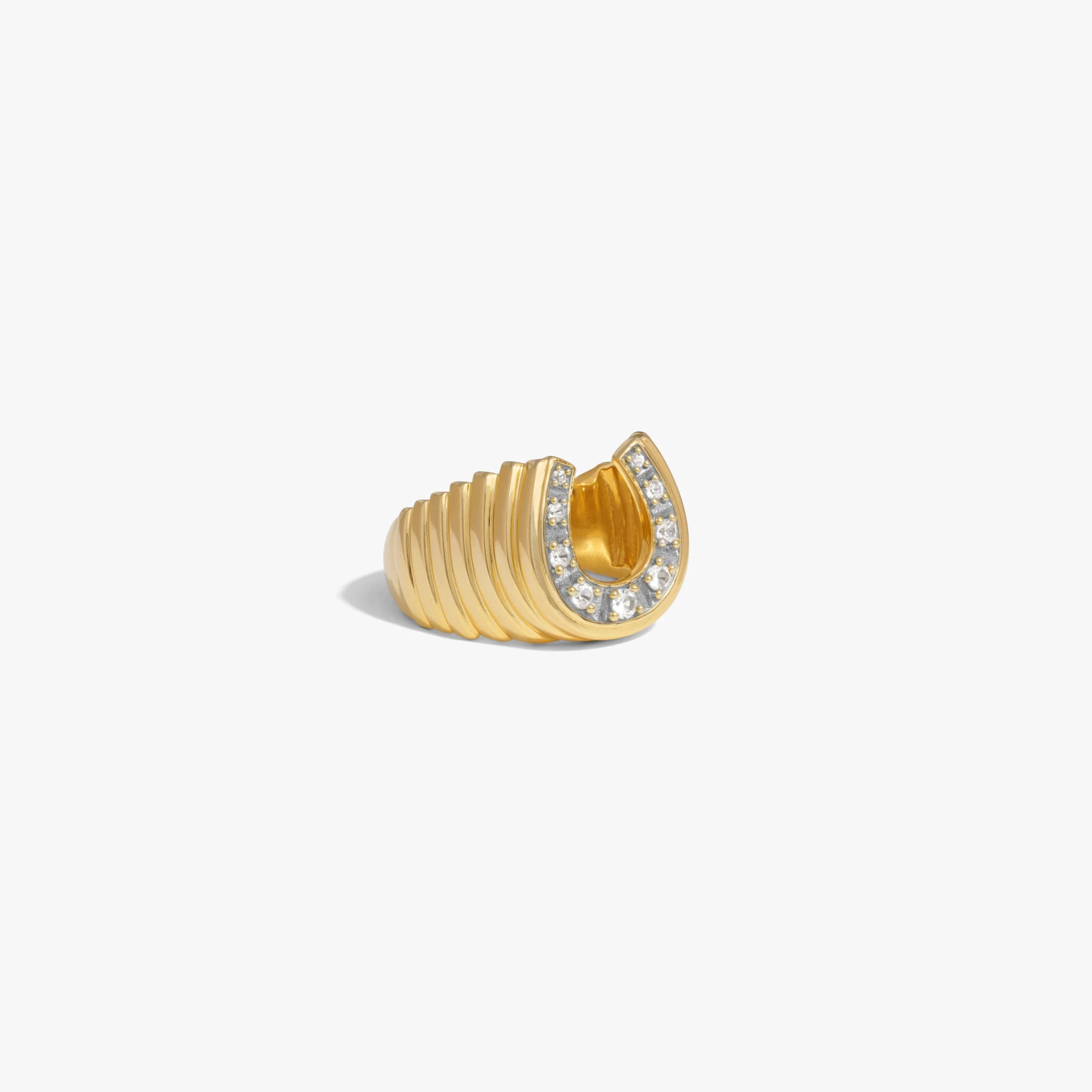 Lucky Horseshoe Signet Ring - Image 3