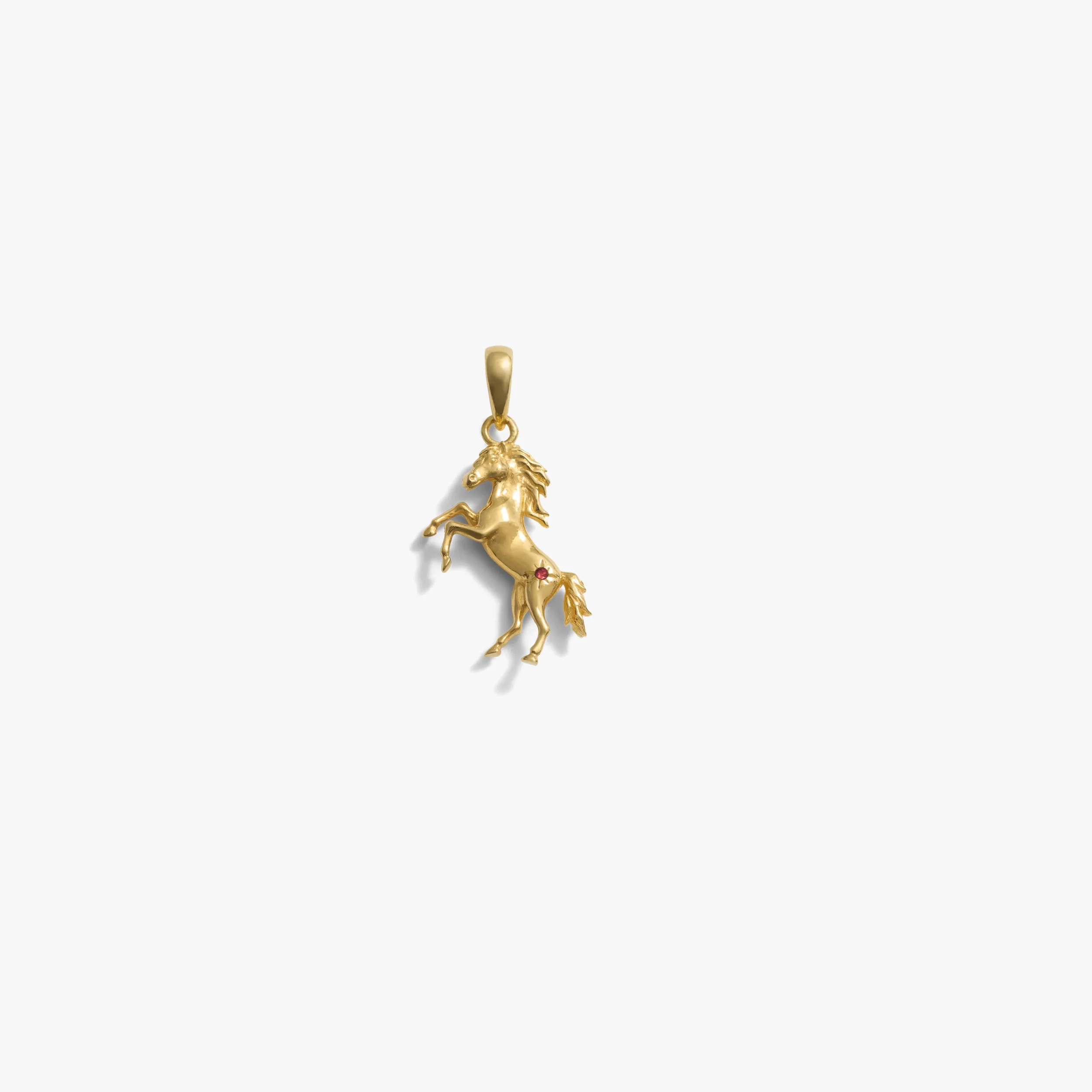 Stallion Amulet