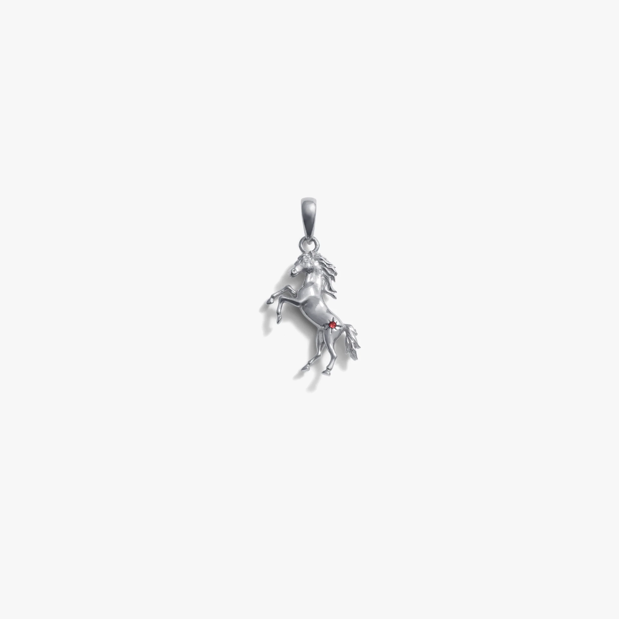 Stallion Amulet - Image 5
